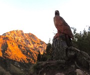 74 L'aquila reale veglia sulle nostre montagne